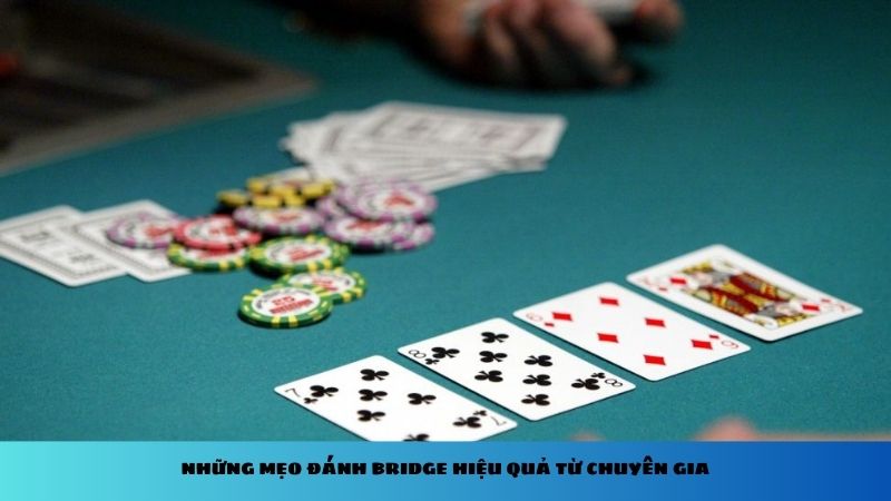 Những mẹo đánh Bridge hiệu quả từ chuyên gia