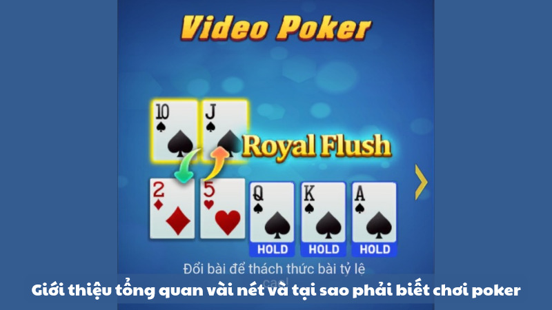 Giới thiệu tổng quan vài nét và tại sao phải biết cách chơi poker